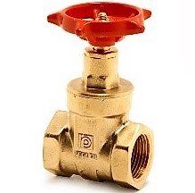 gate-valve-pegler-1